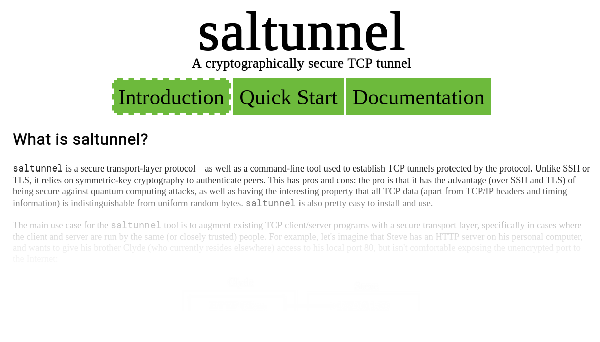 Image of saltunnel.io page.
